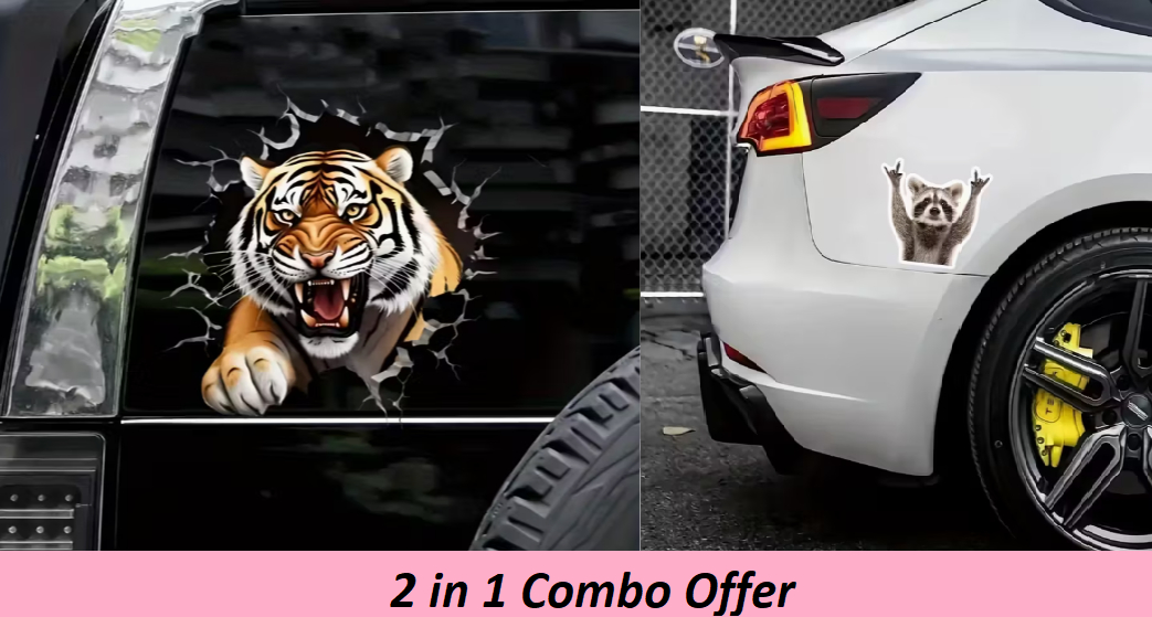 Cute Waterproof Raccoon Vinyl Sticker Cartoon Raccoon - Image 8